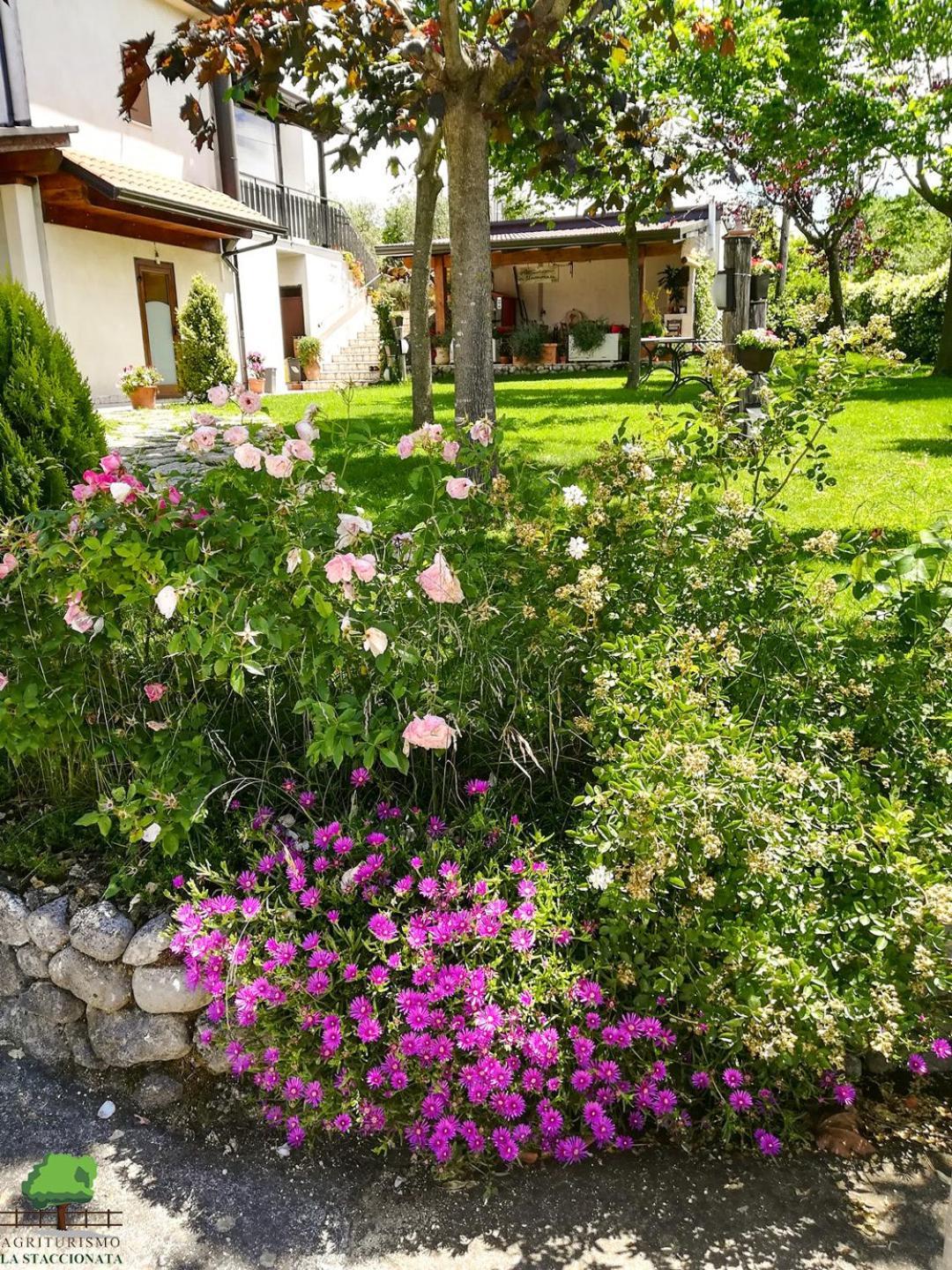 Villa La Staccionata à Arpino Extérieur photo